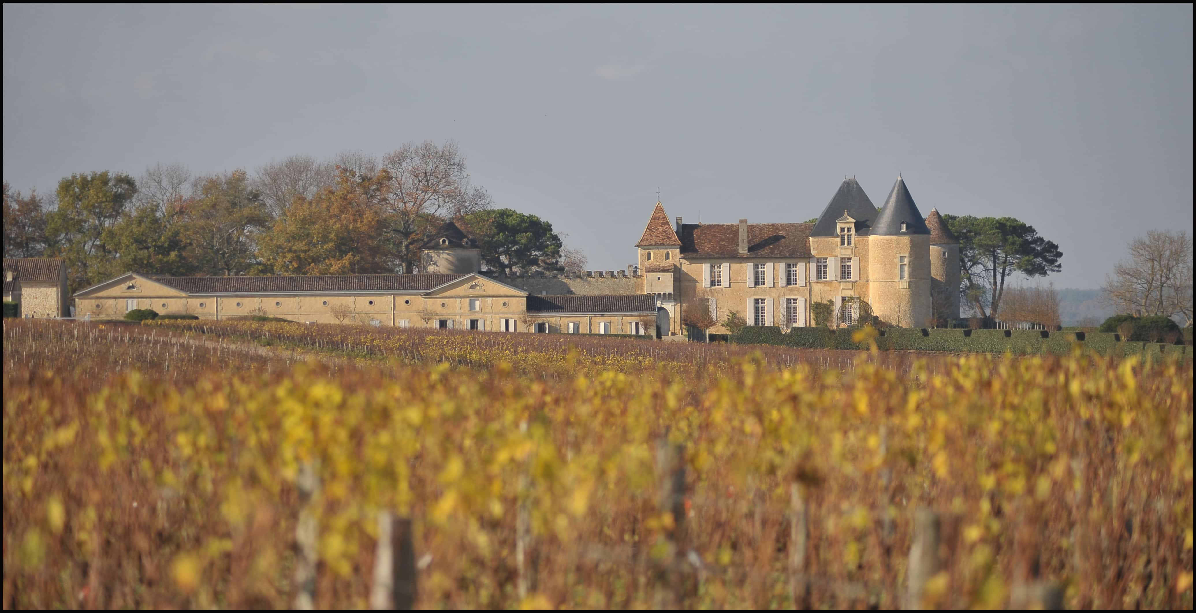 chateau-yquem