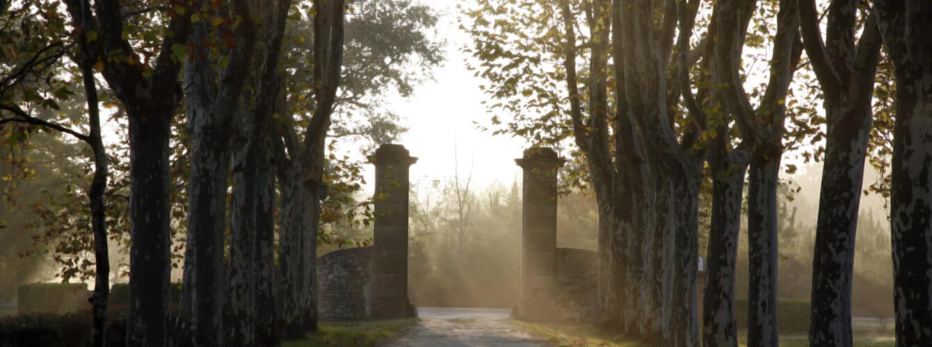 Château Guiraud: création d'une websérie