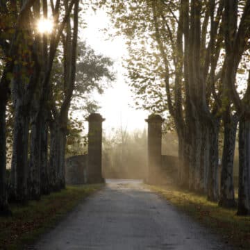 Château Guiraud: création d'une websérie