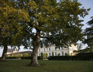 Château Guiraud