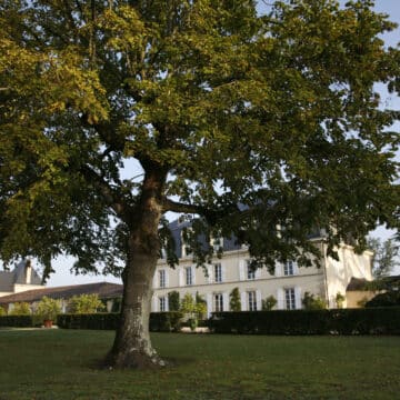 Château Guiraud