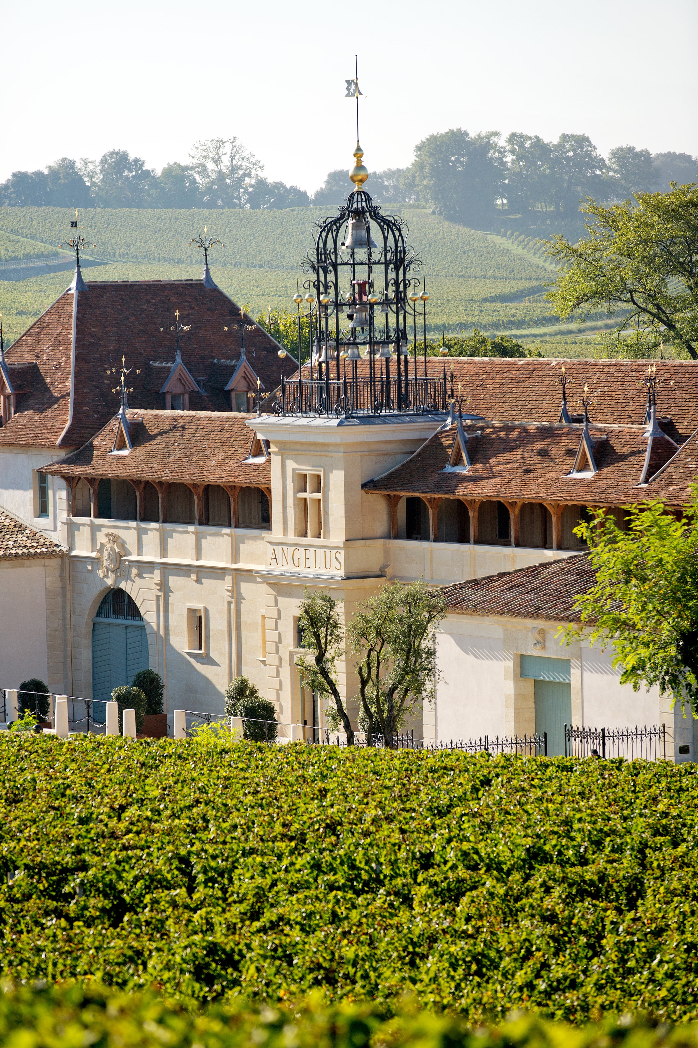 terroir angélus