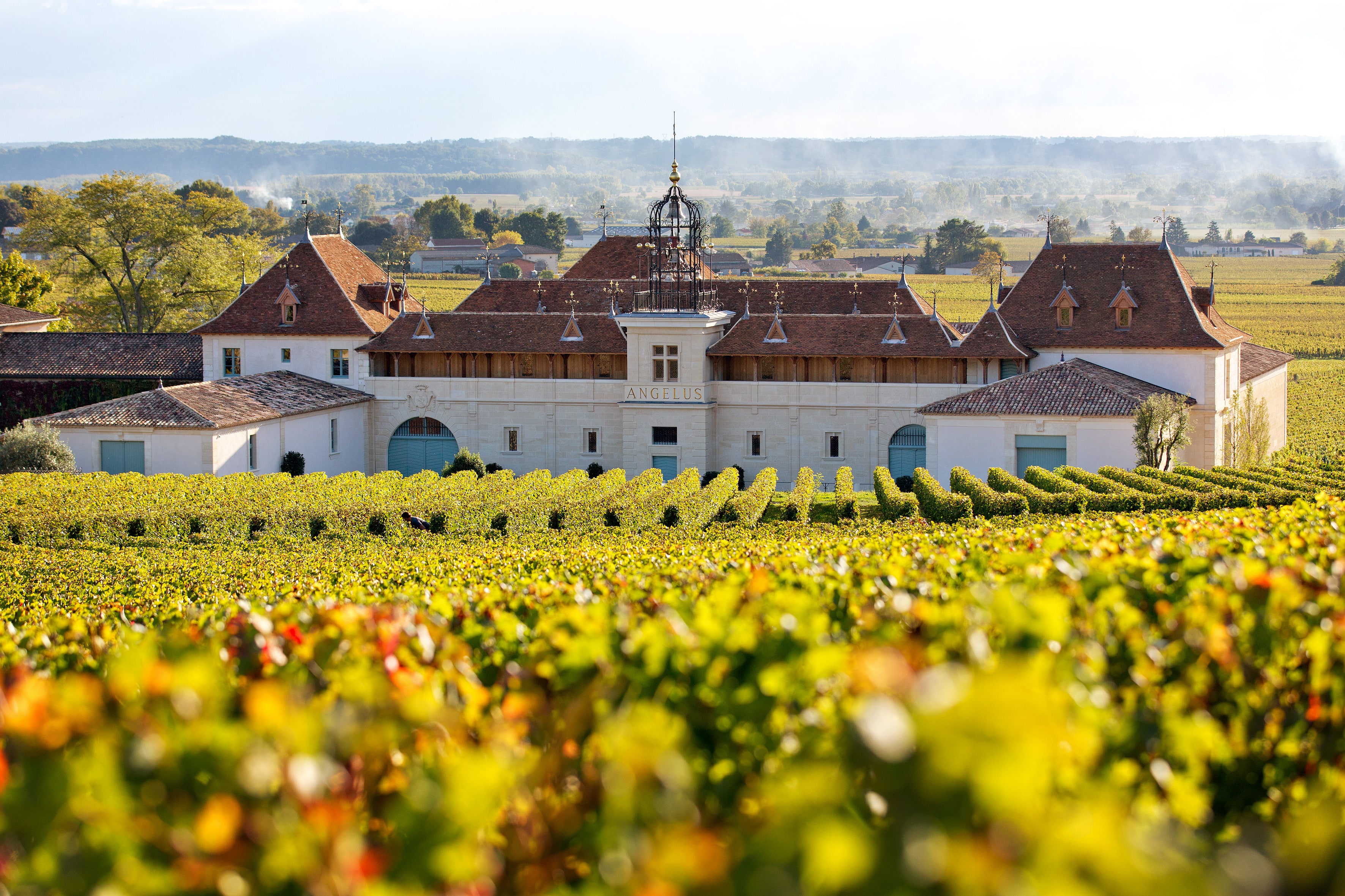 Château Angélus - Bordeaux Tradition - Négoce de Vins