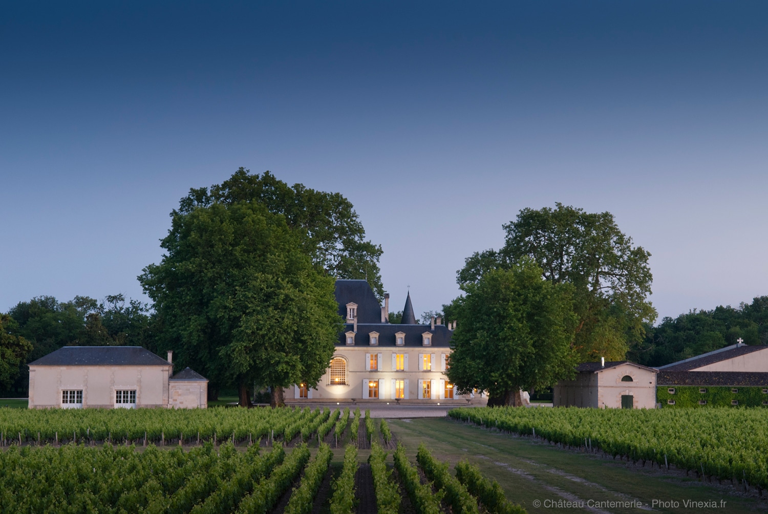 Château Cantemerle - Négoce de Vins