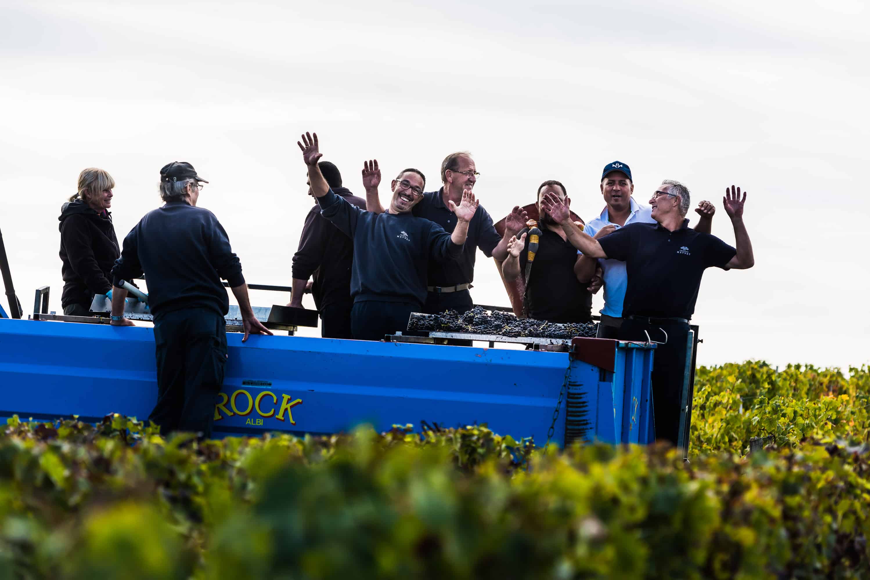 Vendanges Meyney