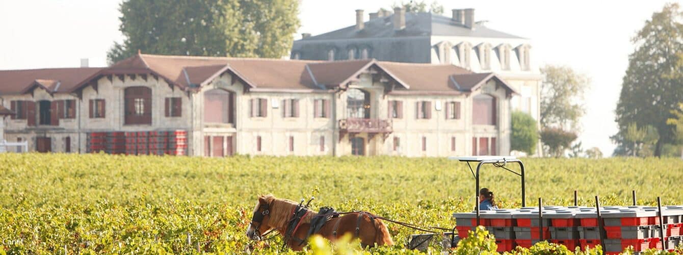 Pontet Canet