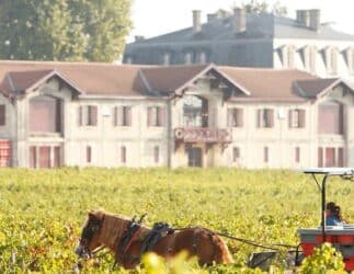 Pontet Canet