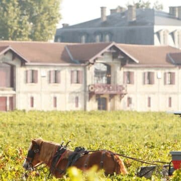 Pontet Canet