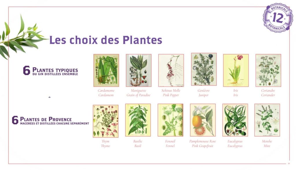 Le choix des plantes de MistralGin 