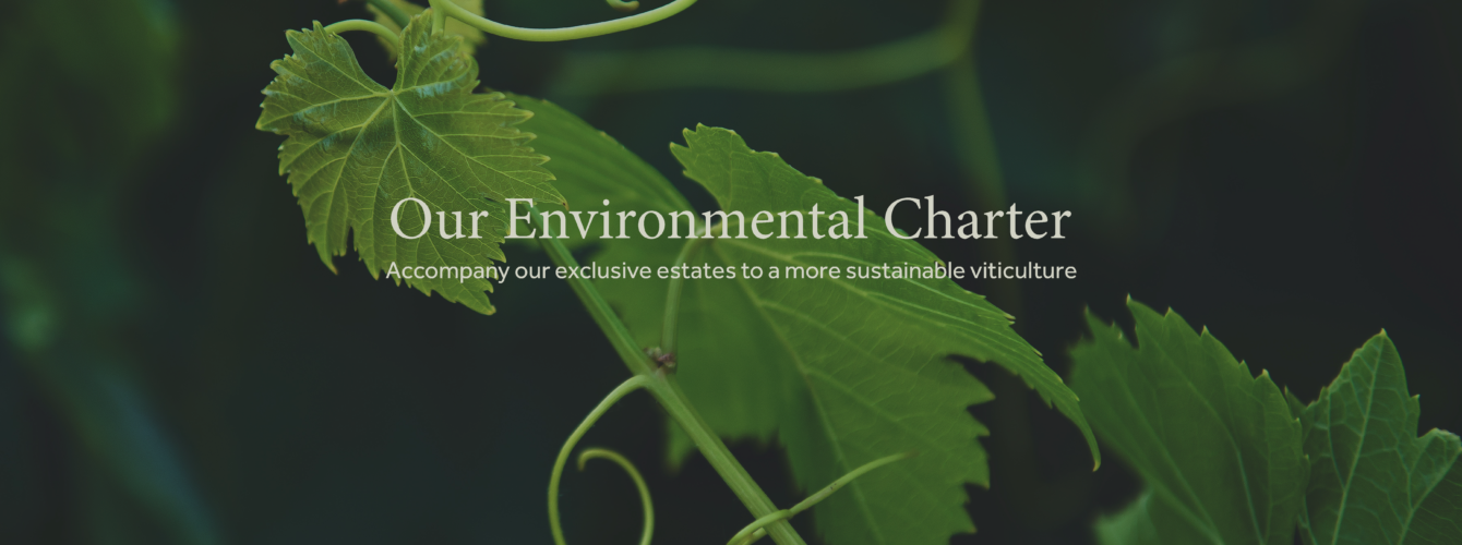 environmental charter