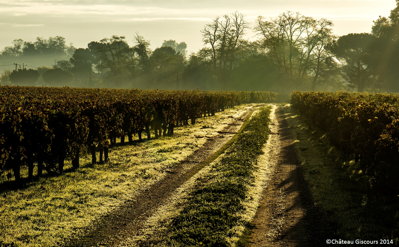 Château Giscours, Régisseur Général : Lorenzo Pasquini